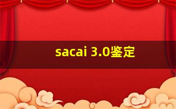 sacai 3.0鉴定